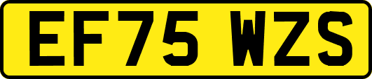 EF75WZS