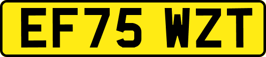 EF75WZT