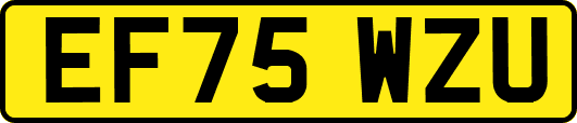 EF75WZU