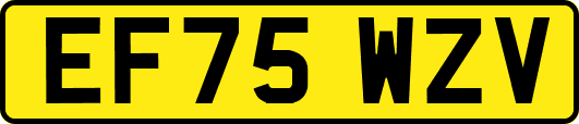EF75WZV