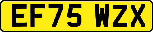 EF75WZX