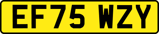 EF75WZY