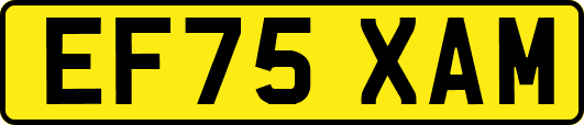 EF75XAM