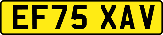 EF75XAV