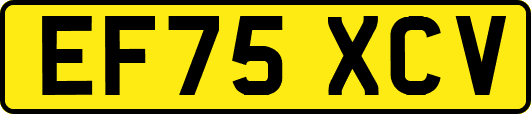 EF75XCV