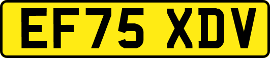 EF75XDV