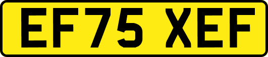 EF75XEF