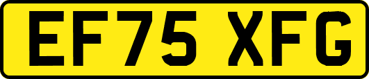EF75XFG