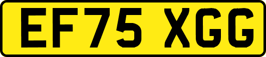 EF75XGG