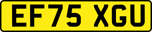 EF75XGU