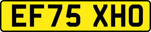 EF75XHO