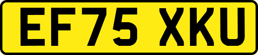 EF75XKU