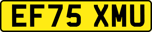 EF75XMU