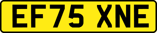 EF75XNE