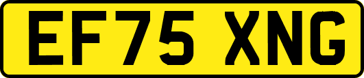 EF75XNG