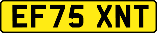 EF75XNT