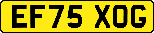 EF75XOG