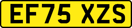 EF75XZS