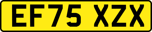 EF75XZX