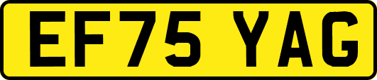 EF75YAG
