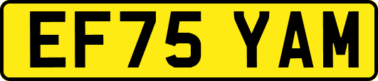 EF75YAM