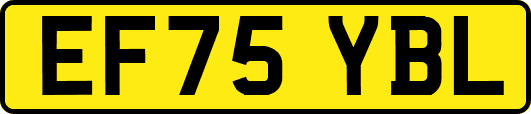 EF75YBL