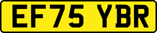 EF75YBR