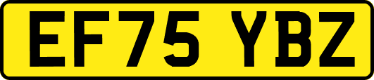 EF75YBZ