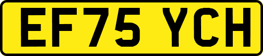 EF75YCH