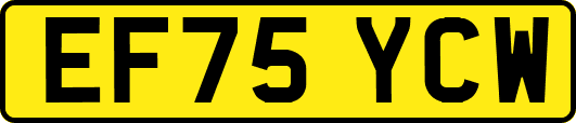 EF75YCW