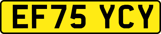 EF75YCY