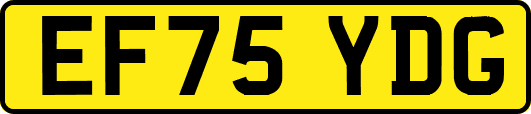 EF75YDG