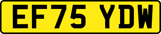 EF75YDW