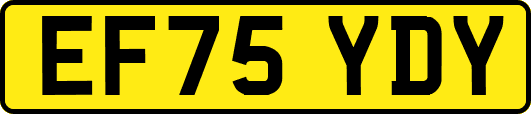 EF75YDY