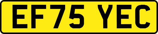 EF75YEC