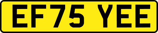 EF75YEE