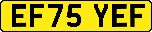 EF75YEF