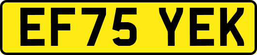 EF75YEK