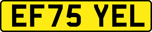EF75YEL