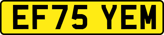 EF75YEM