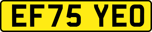 EF75YEO
