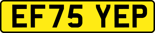 EF75YEP