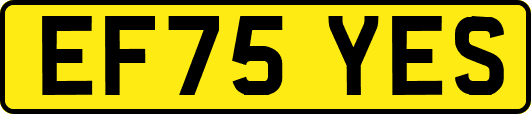 EF75YES