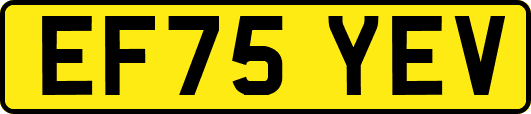 EF75YEV