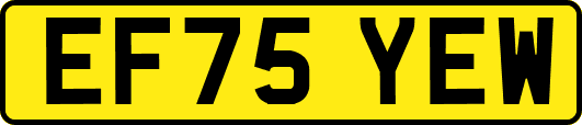 EF75YEW