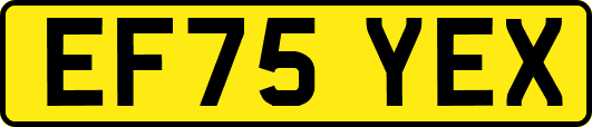 EF75YEX