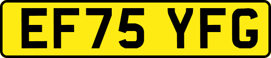 EF75YFG