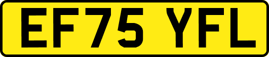 EF75YFL