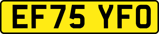 EF75YFO