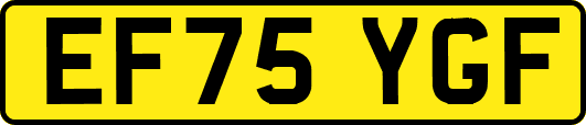 EF75YGF